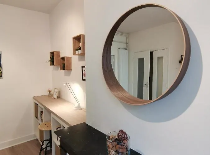 Anemone - Confort En Centre 公寓