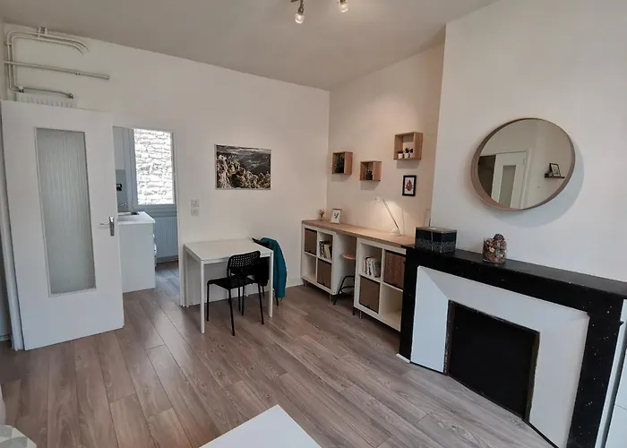 Anemone - Confort En Centre 公寓